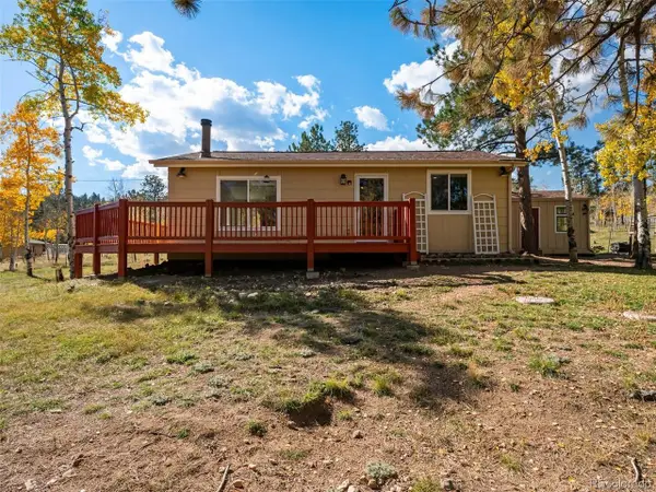 196 Beaver Trl, Bailey, CO 80421