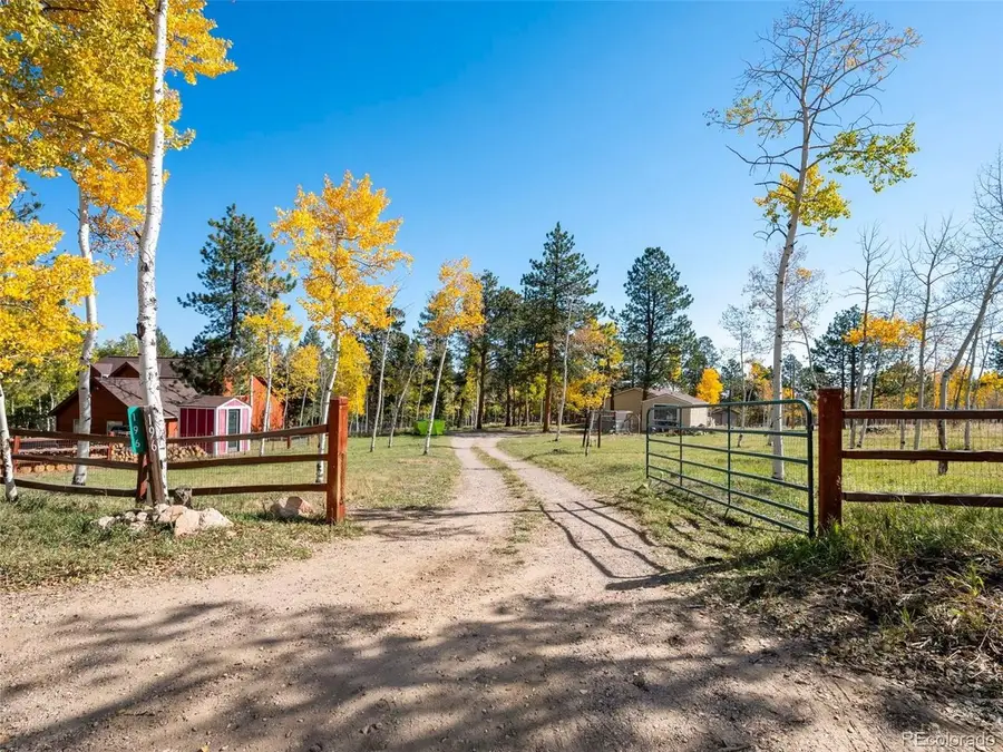 196 Beaver Trl, Bailey, CO 80421 - #3