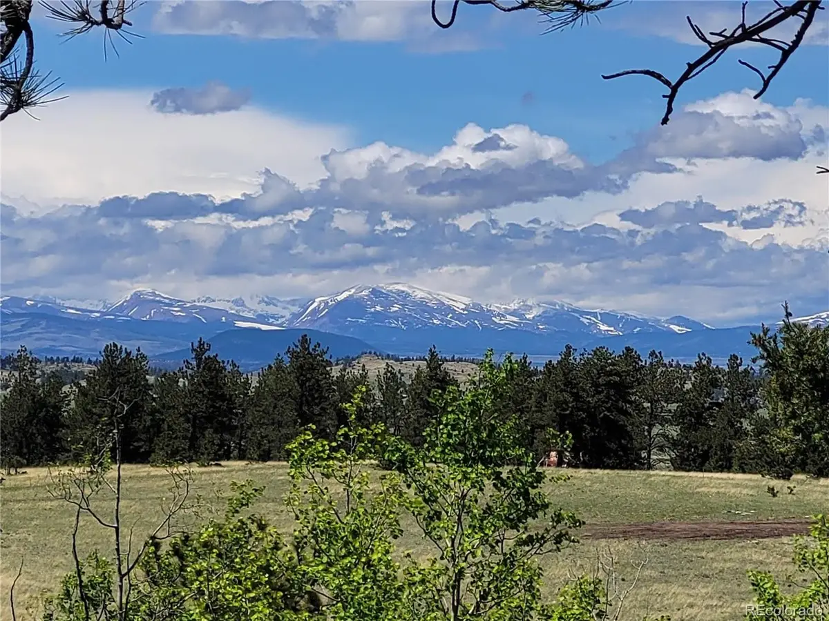 1080 Brahma Cir, Hartsel, CO 80449 - #1