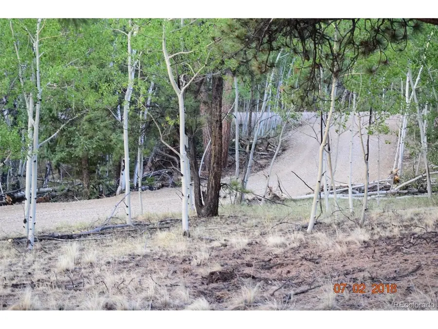 1080 Brahma Cir, Hartsel, CO 80449 - #2