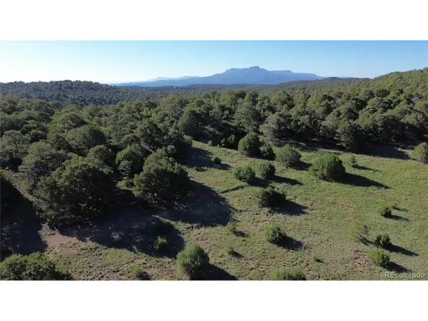 16198 Picketwire Rd, Trinidad, CO 81024