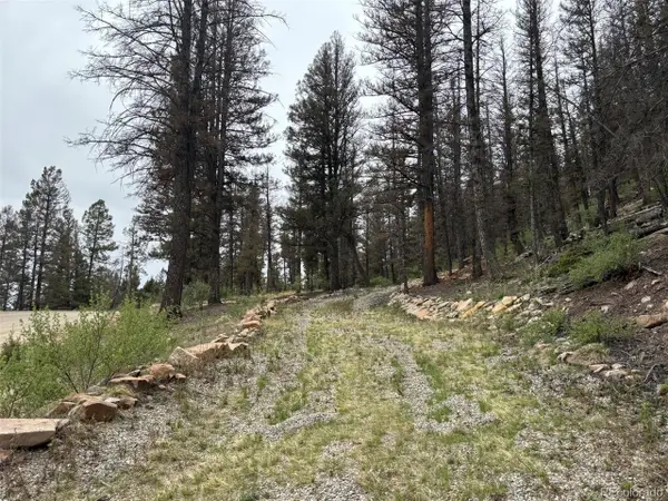 225 Trout Creek Ln, Fairplay, CO 80440