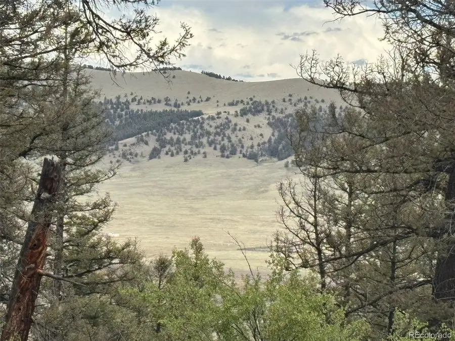 225 Trout Creek Ln, Fairplay, CO 80440 - #2