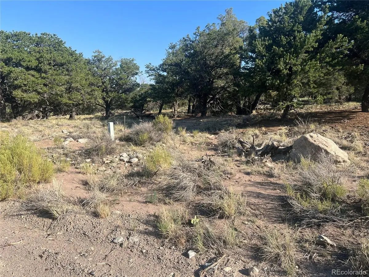 4351 Rarity Way, Crestone, CO 81131 - #1