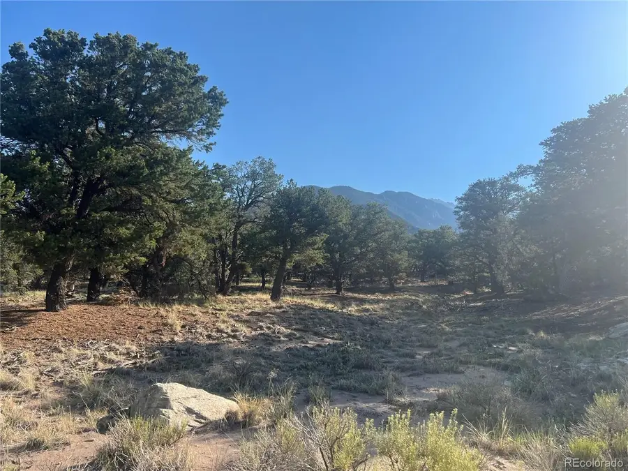 4351 Rarity Way, Crestone, CO 81131 - #3