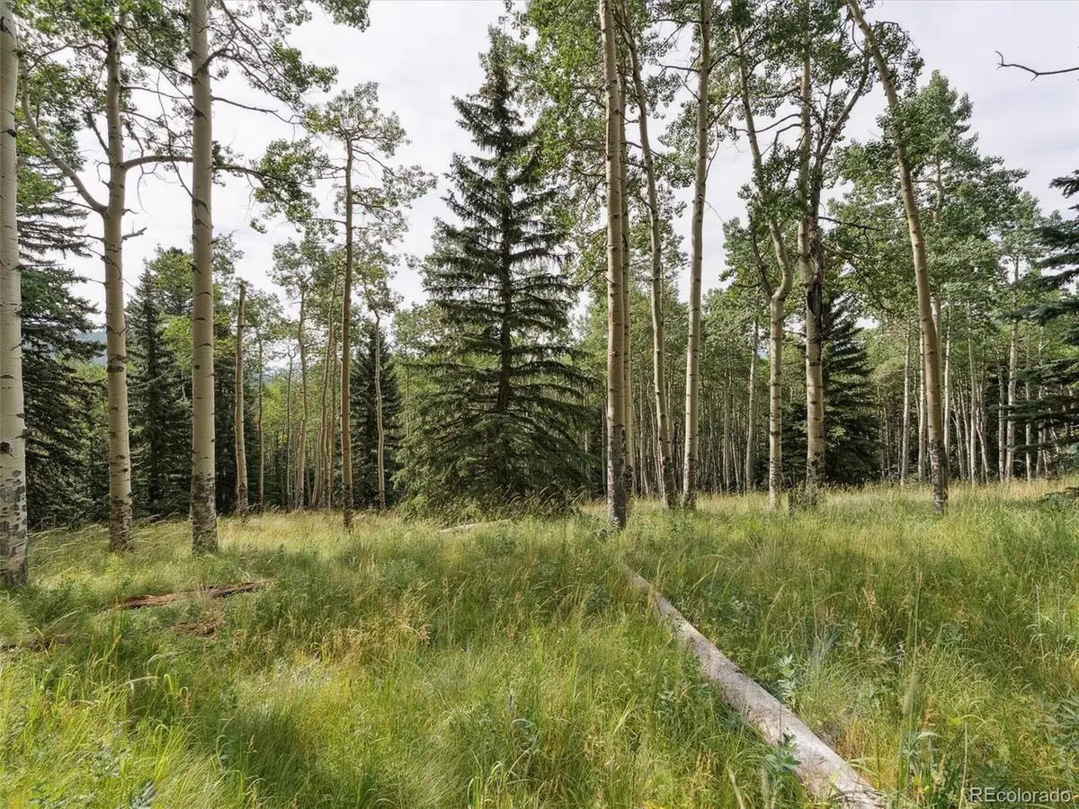 0 Meadowlark Dr, Evergreen, CO 80439 - #1