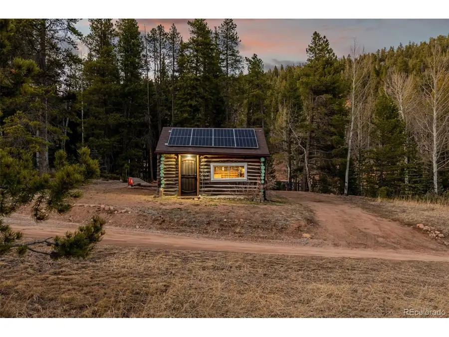 9719 Beaver Pond, Conifer, CO 80433 - #3