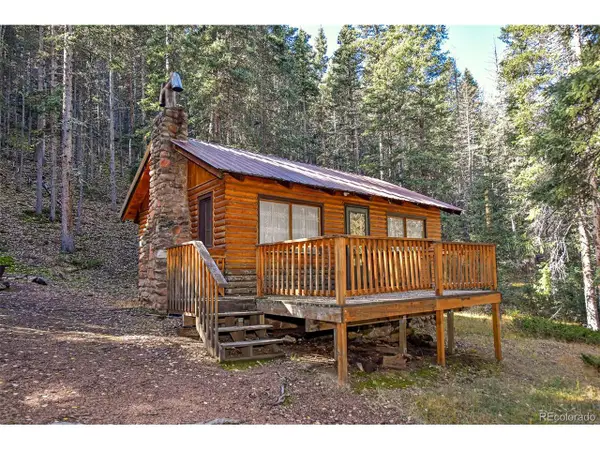 104 Usfs #383, Divide, CO 80814