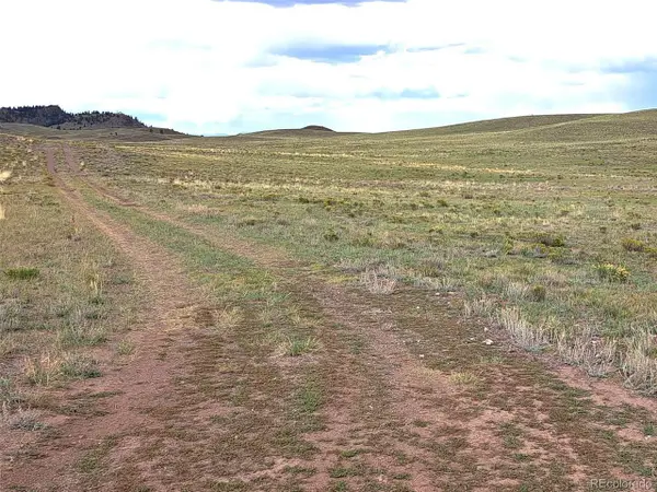 217 Black Gatto Trl, Hartsel, CO 80449