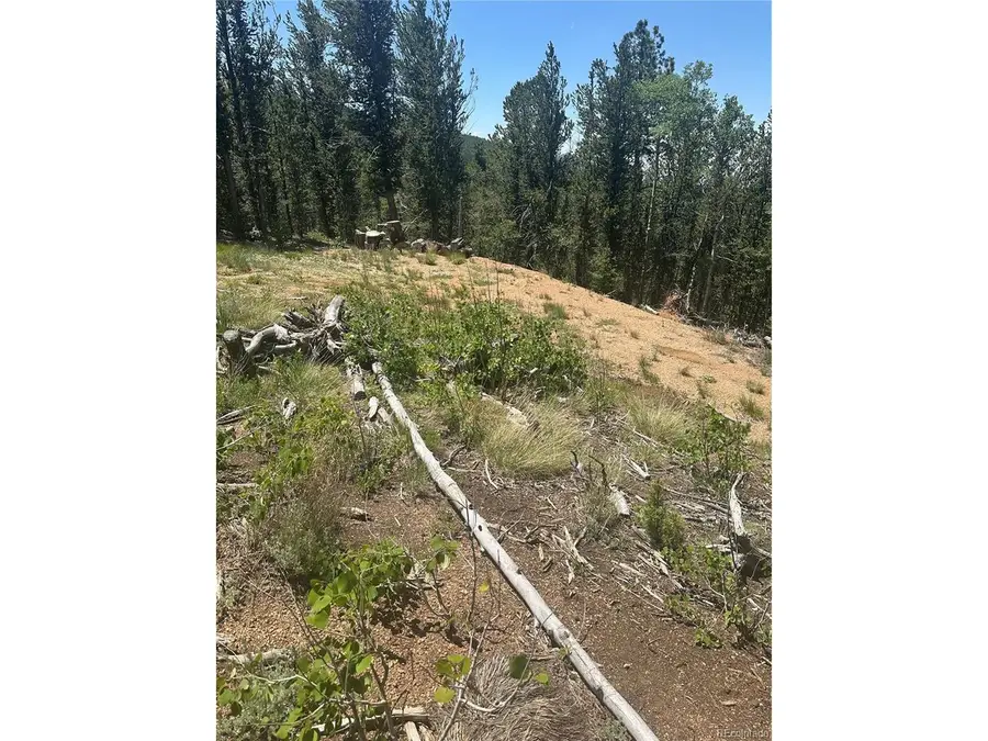 110 Brown Bear Ln, Cripple Creek, CO 80813 - #2