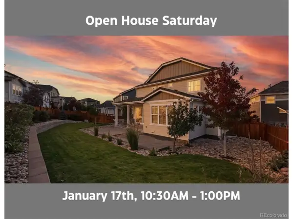 10867 Mcharg Ct, Parker, CO 80134