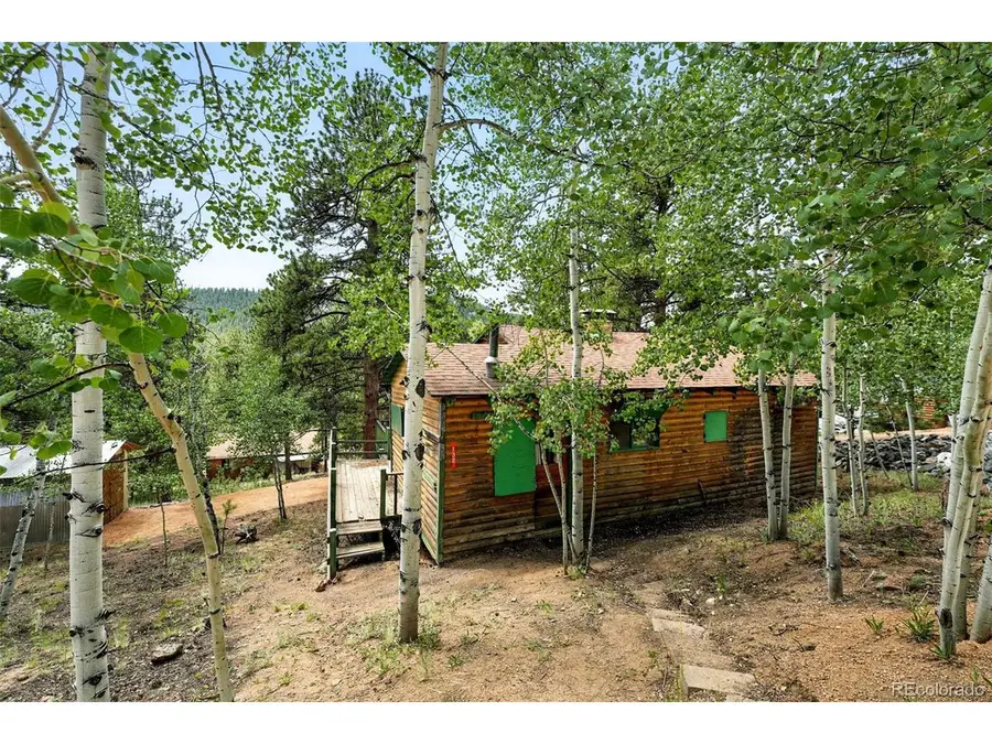 132 Jones Rd, Bailey, CO 80421 - #2