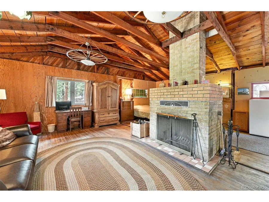 132 Jones Rd, Bailey, CO 80421 - #3