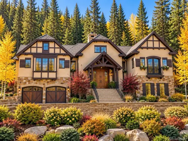 22 E Trade Ct, Keystone, CO 80435