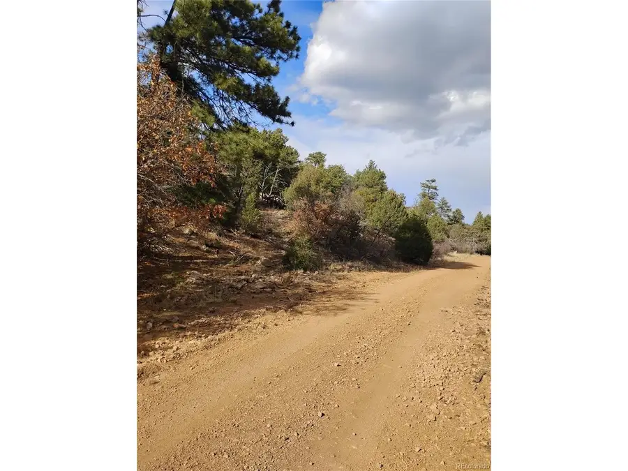 1105 Owens Ln, Cotopaxi, CO 81223 - #3