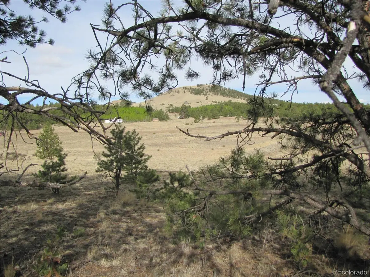 487 Falcon Rd, Hartsel, CO 80449 - #1