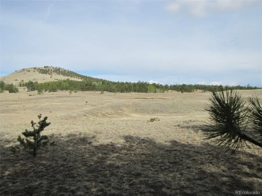 487 Falcon Rd, Hartsel, CO 80449 - #3