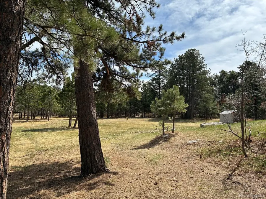 15632 Ray Dr, Larkspur, CO 80118 - #3