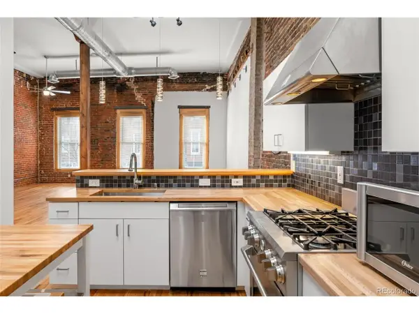 1510 Wazee St #3, Denver, CO 80202