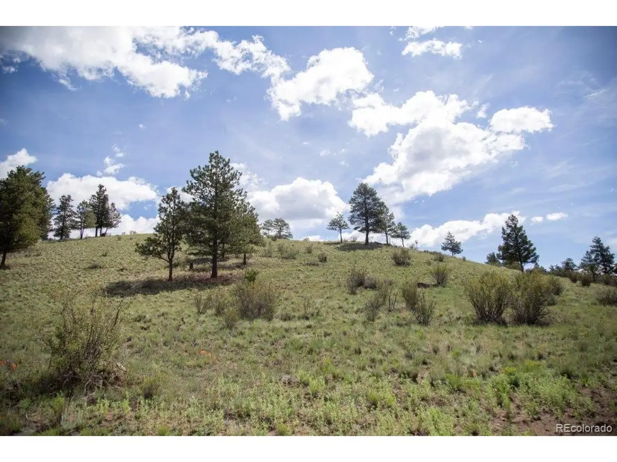 Address Withheld By Seller, Creede, CO 81130 - #1