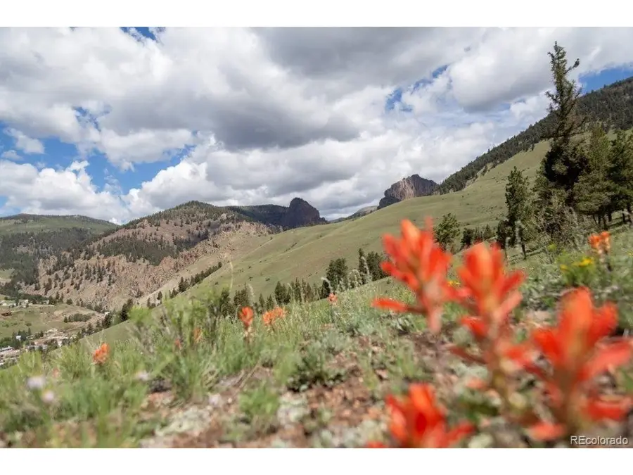Address Withheld By Seller, Creede, CO 81130 - #2