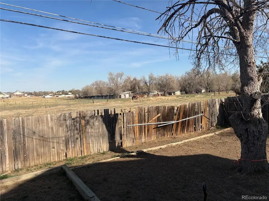 6962 Ingalls St, Arvada, CO 80003 - #3