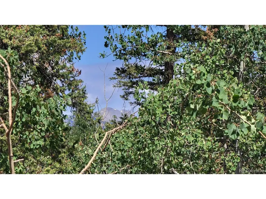 943 Bear Ln, Jefferson, CO 80456 - #2