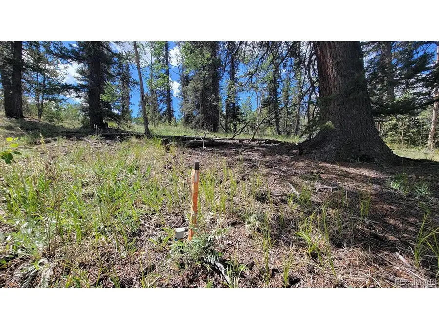 943 Bear Ln, Jefferson, CO 80456 - #3