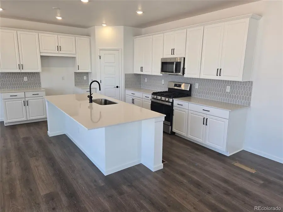8742 Yellowcress St, Littleton, CO 80125 - #3
