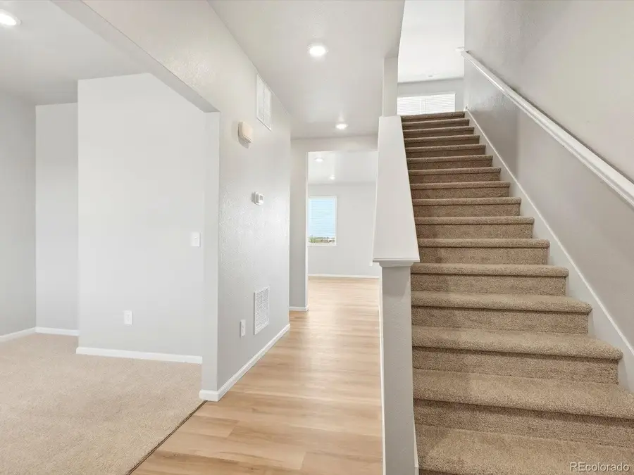 1675 Yampa River Dr, Windsor, CO 80550 - #2