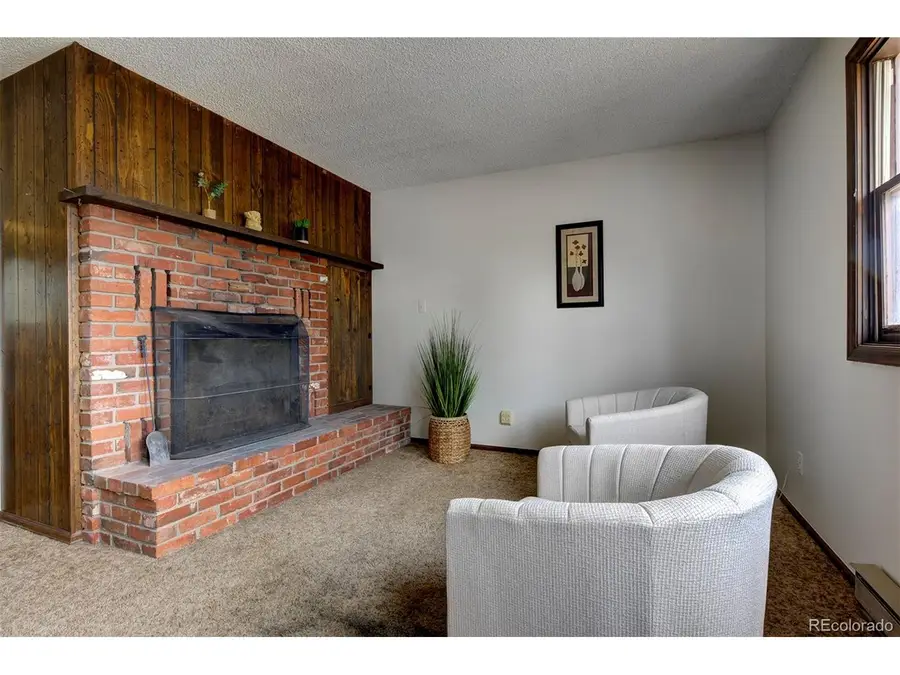 1899 Roland Dr, Bailey, CO 80421 - #3