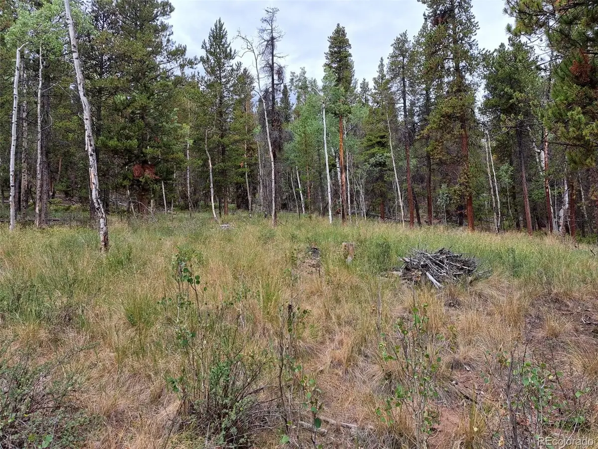 1201 Beaver Creek Rd, Fairplay, CO 80440 - #1