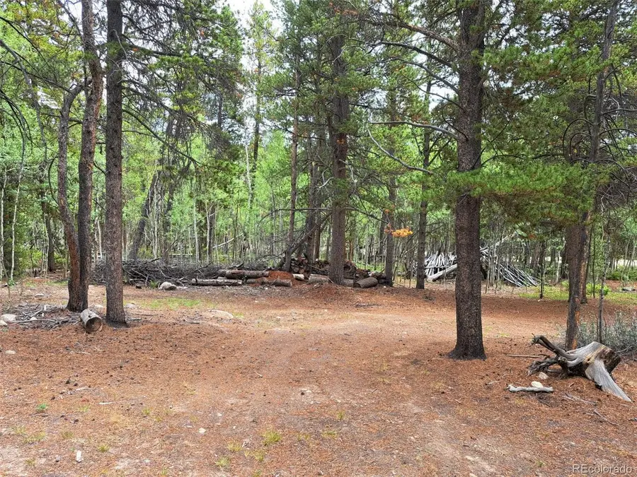 1201 Beaver Creek Rd, Fairplay, CO 80440 - #3