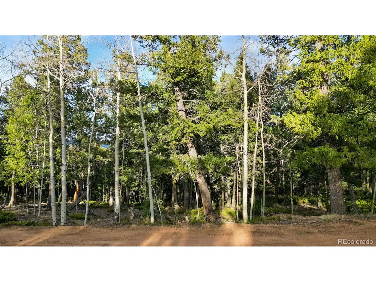 68 Yale Pl, Woodland Park, CO 80863 - #1