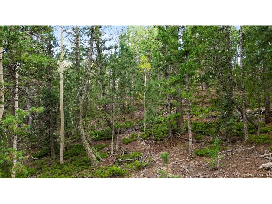 68 Yale Pl, Woodland Park, CO 80863 - #3
