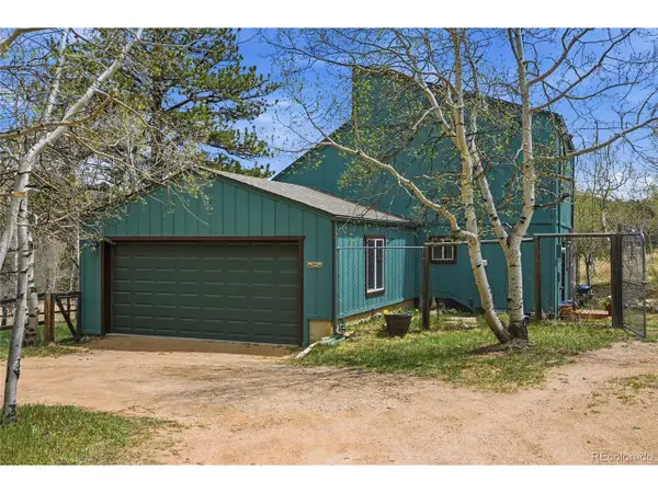 398 Aspen Dr, Bailey, CO 80421