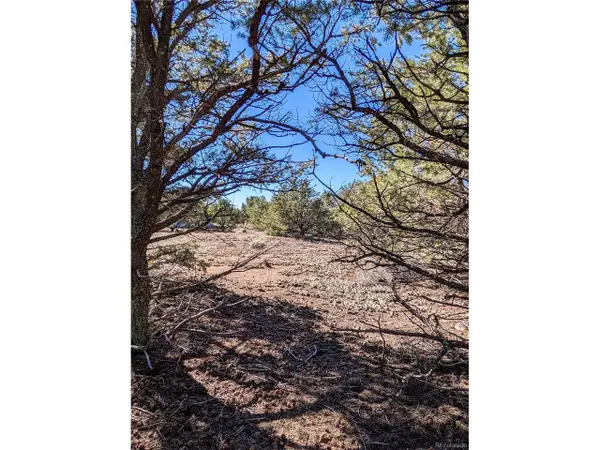 3384 Genial Way, Crestone, CO 81131