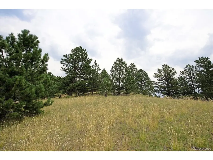 726 Copper Mountain Dr, Cripple Creek, CO 80813 - Image #3