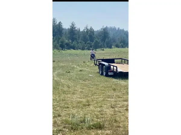 127 Sedgewich Dr, Hartsel, CO 80449