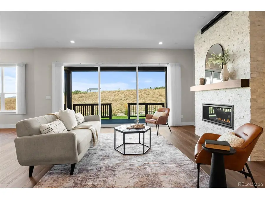 140 Leafy Aster Ln, Castle Rock, CO 80104 - #2