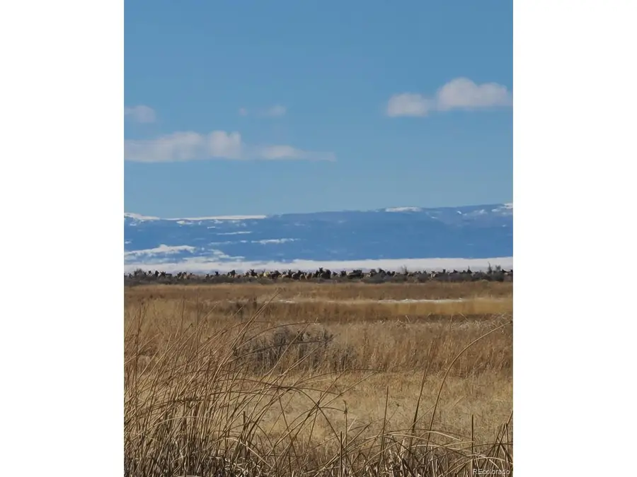 10990 S Road 116, Alamosa, CO 81101 - #2