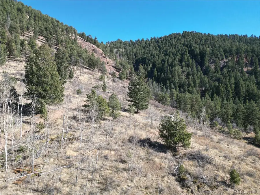 18 Blue Haven Pl, Woodland Park, CO 80863 - #2