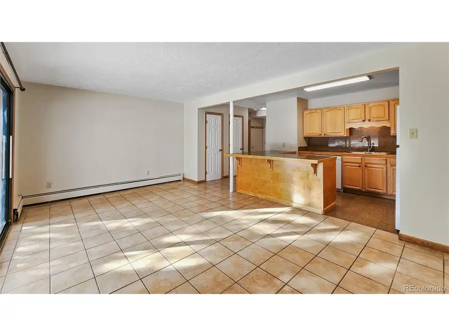 893 Straight Creek Dr #104, Dillon, CO 80435 - #3