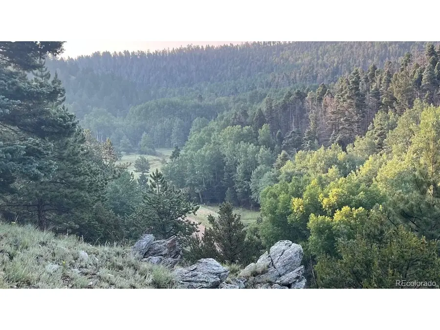 1716 County Road 327, Westcliffe, CO 81252 - #3