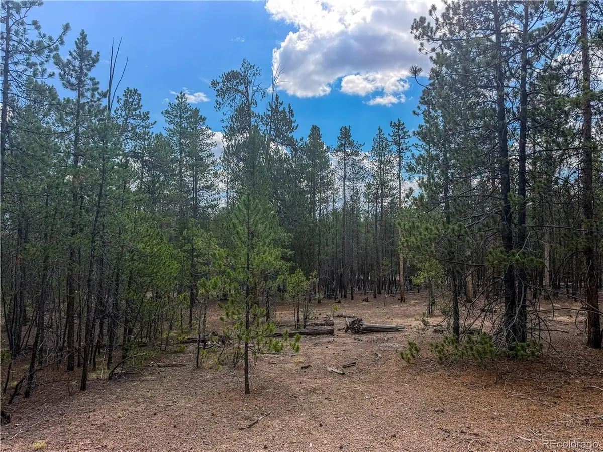 569 Birch Dr, Leadville, CO 80461 - #1