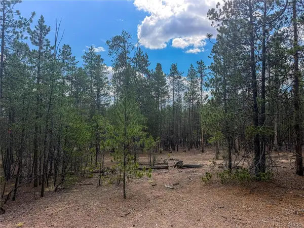 569 Birch Dr, Leadville, CO 80461