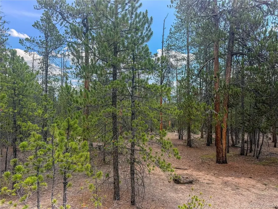 569 Birch Dr, Leadville, CO 80461 - #2