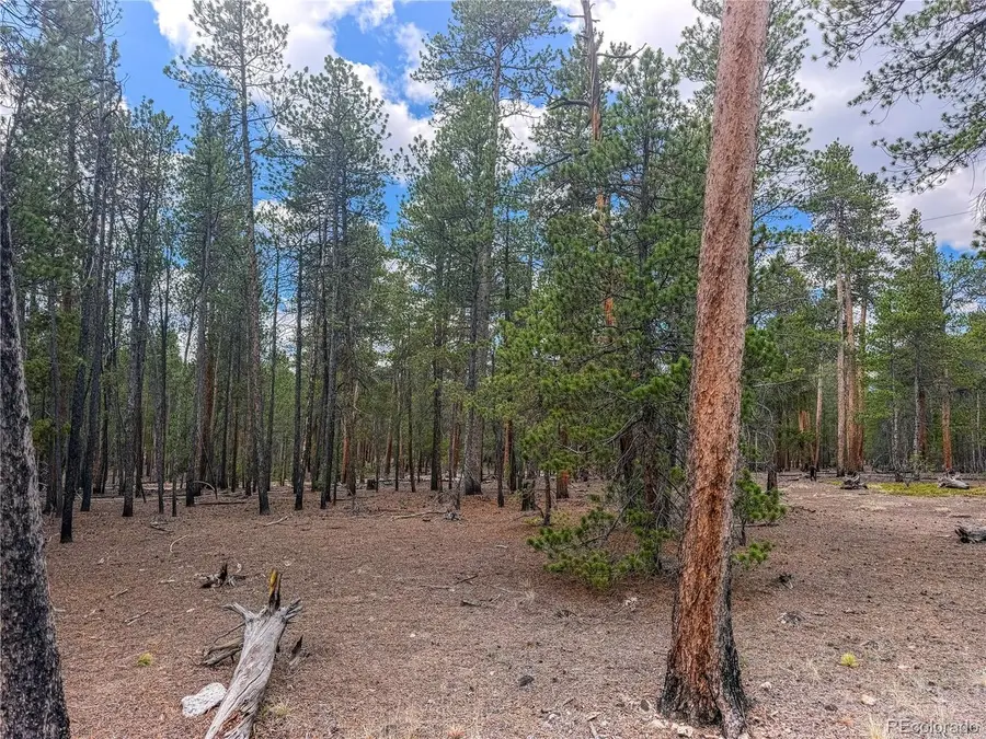569 Birch Dr, Leadville, CO 80461 - #3