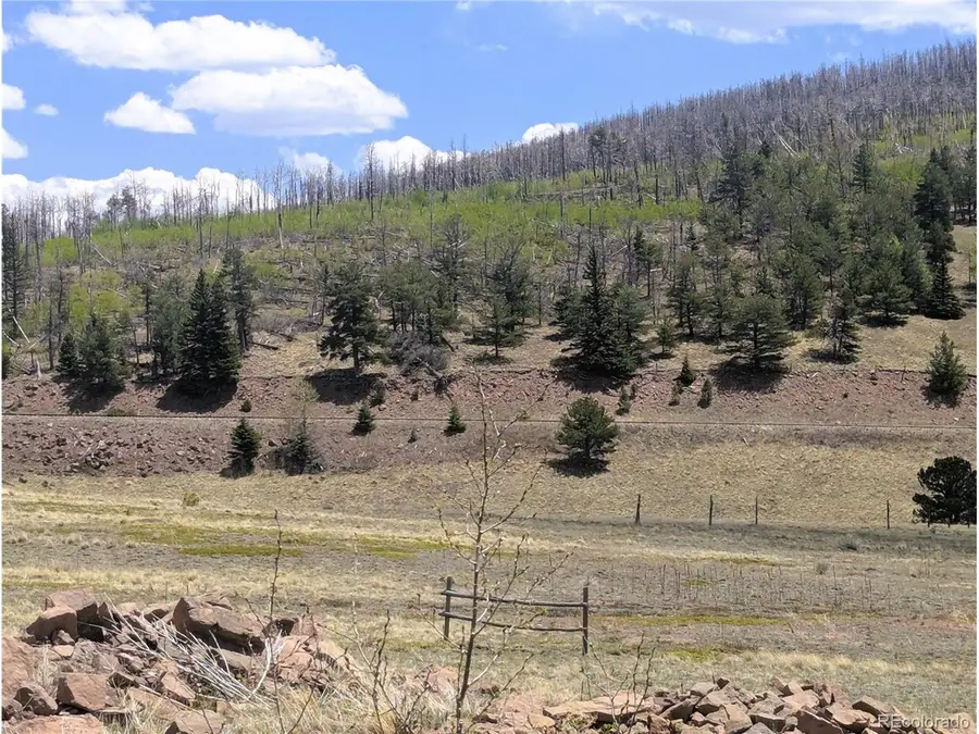 1670 Cary Ln, Fort Garland, CO 81133 - #3