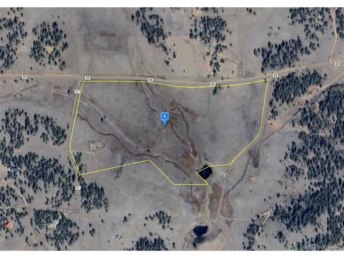 170 Badger Cir, Guffey, CO 80820 - Image #1